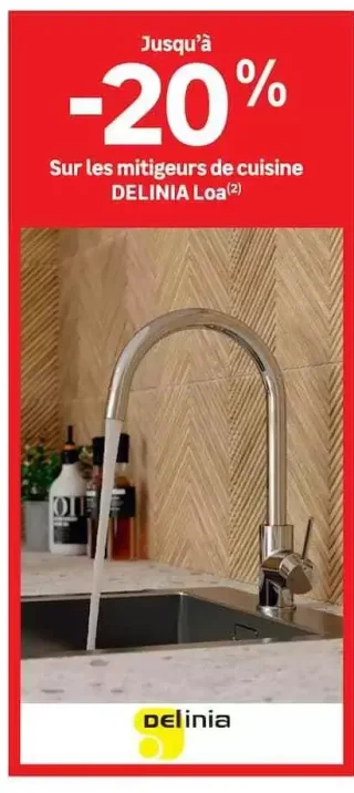 Mitigeurs de cuisine Delinia Loa