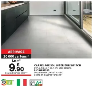 Carrelage sol intérieur Switch