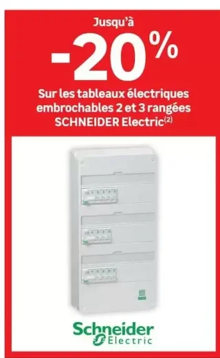 Tableaux électriques embrochables 2 et 3 rangées Schneider Electric