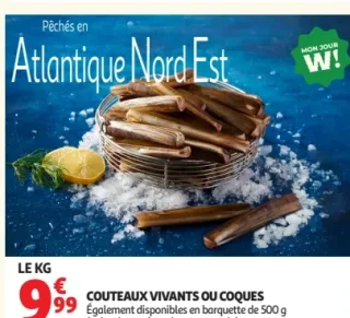 Couteaux vivants ou coques