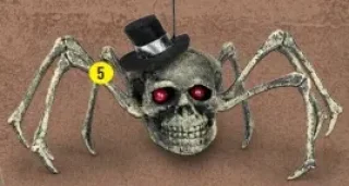 L'araignée squelette