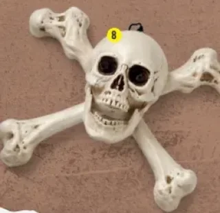 Le symbole des pirates