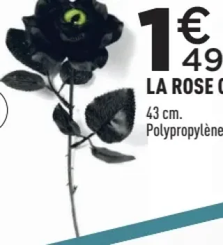 LA ROSE ŒIL 43 cm
