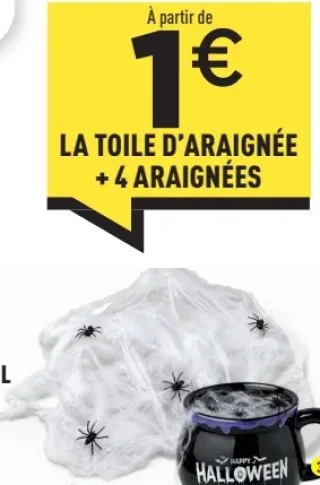 LA TOILE D'ARAIGNÉE + 4 ARAIGNÉES