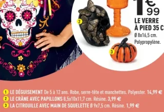 Décorations et déguisement Dia de los Muertos (Crâne avec papillons, Citrouille avec main de squelette, Déguisement)