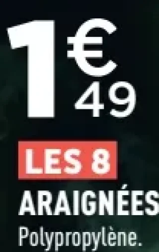 Les 8 araignées phosphorescentes