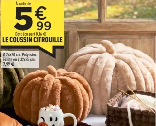 Le coussin citrouille