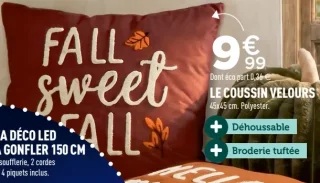 Le coussin velours Fall Sweet Fall