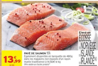 Pavé de saumon