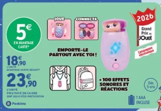 Compagnon électronique Peekimo