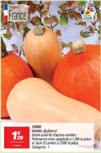 Courge