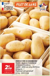 Pomme de terre de consommation 