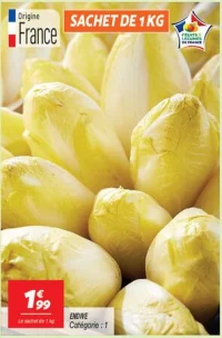 Endive 