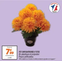 Pot chrysanthemes 9 tetes 