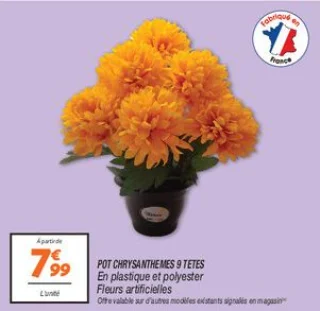 Pot chrysanthemes 9 tetes 