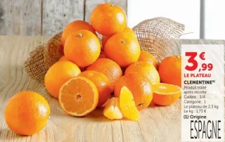 Clémentine Origine Espagne