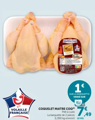 Coquelet Maître CoQ