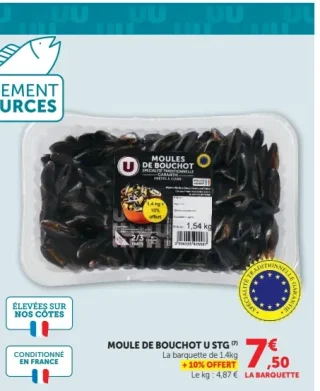 Moule de bouchot U STG