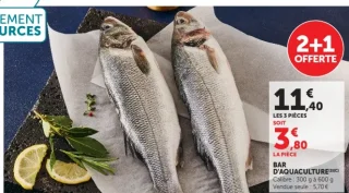 Bar d'aquaculture