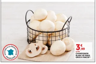 Champignon blanc de Paris gros à farcir