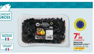 Moule de Bouchot U STG