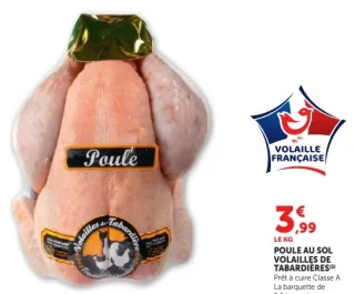 Poule au sol Volailles de Tabardières