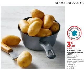 Pommes de terre de consommation lavées
