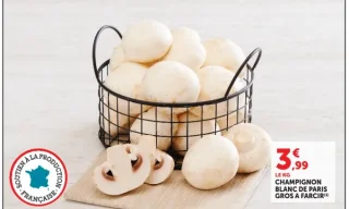 Champignon blanc de Paris gros à farcir