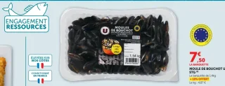 Moule de Bouchot U STG