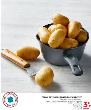 Pomme de terre de consommation lavée