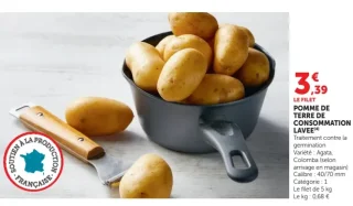 Pomme de terre de consommation lavée U