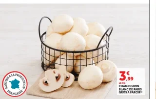 Champignon blanc de Paris gros à farcir