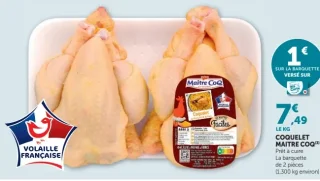 Coquelet Maître Coq