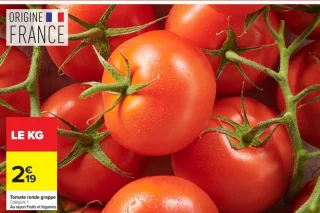 Tomate ronde grappe