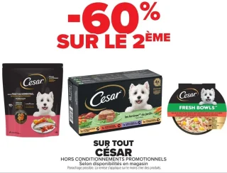 Alimentation pour chiens César
