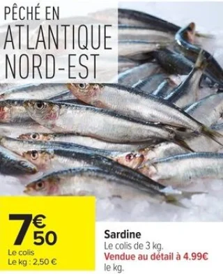 Sardine