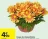 Promo Coupe de chrysanthème 23 cm
