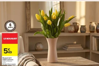 Bouquet de 9 tulipes précoces