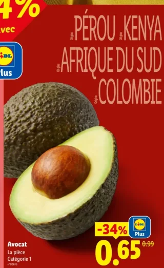 Avocat