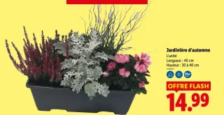 Jardinière d'automne