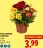 Promo Chrysanthème collection