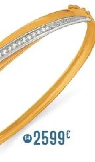 Bracelet diamants 0,27 ct 2 ors Le Manège à Bijoux
