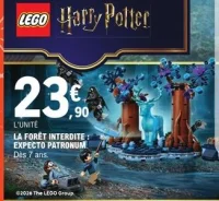 LEGO Harry Potter La forêt interdite : Expecto Patronum