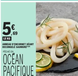 Anneau d'encornet géant décongelé saumuré