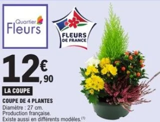 Coupe de 4 plantes Diamètre : 27 cm Quartier Fleurs