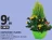 Promo Composition 3 plantes Coupe de 23 cm