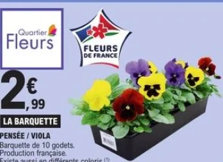 Pensée / Viola Barquette de 10 godets Quartier Fleurs