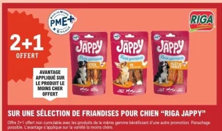 Friandises pour chien Riga Jappy