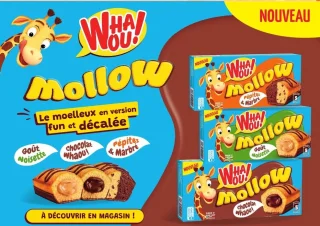 Mollow chocolat, noisette, pepites & marbre