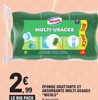 Éponge grattante et absorbante multi-usages "Nicols"